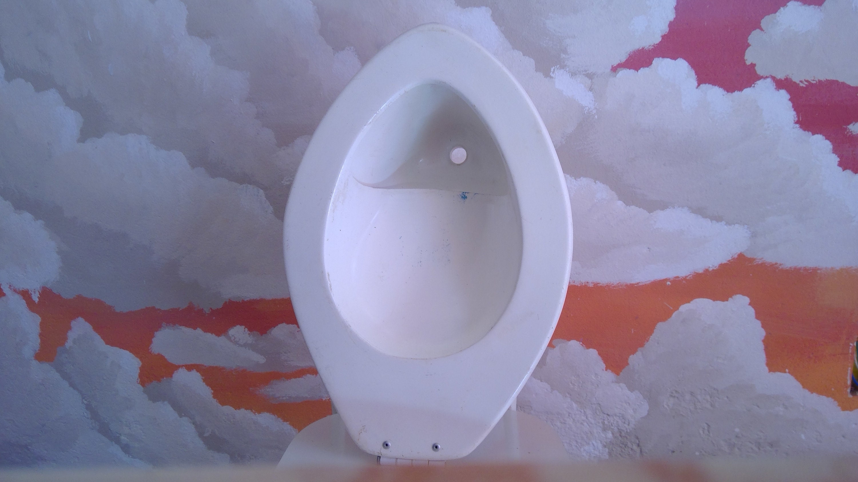 Urine Diverting Toilet Seataztech Fiberglassby César Añorve Etsy