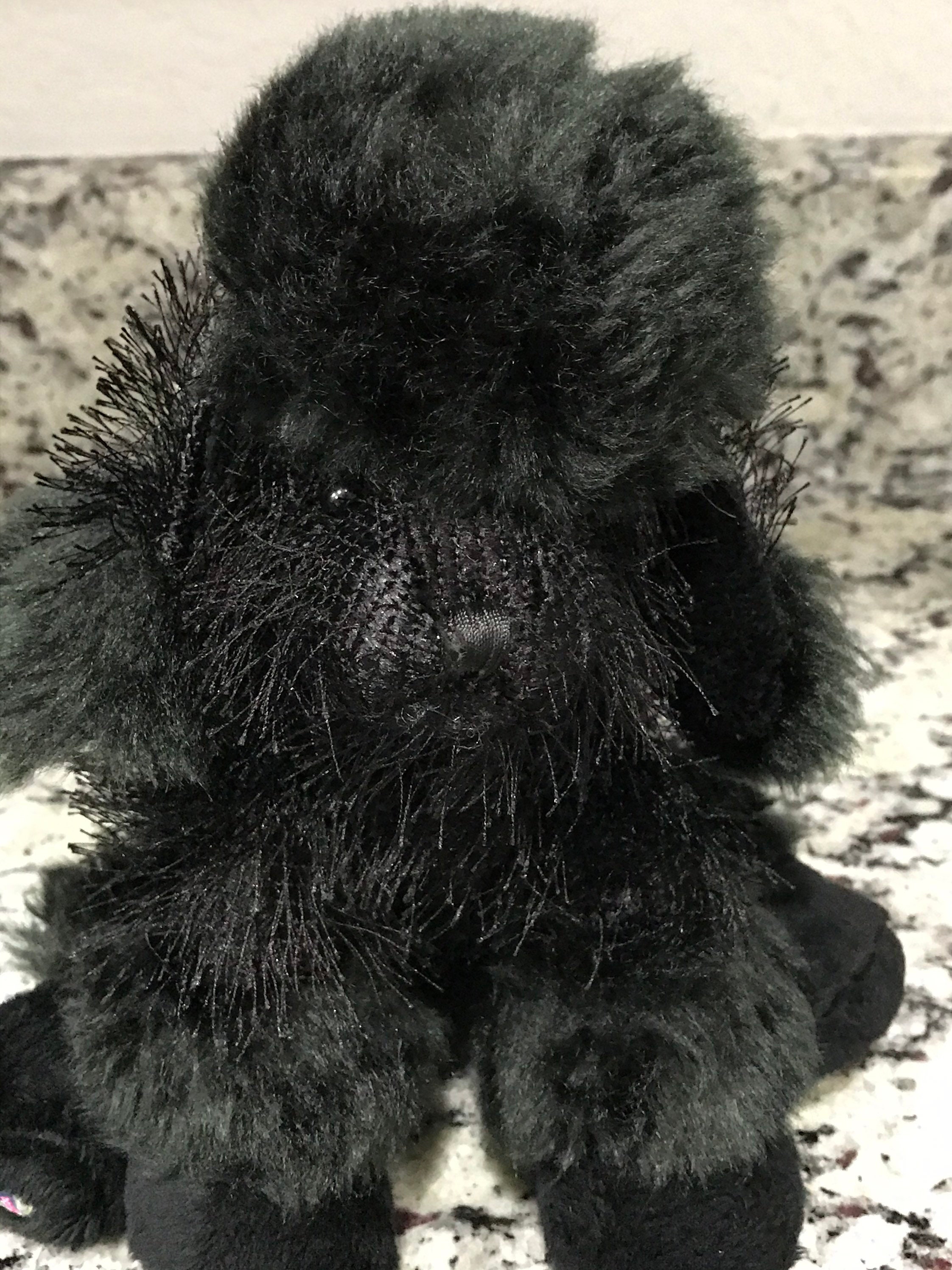 webkinz black poodle