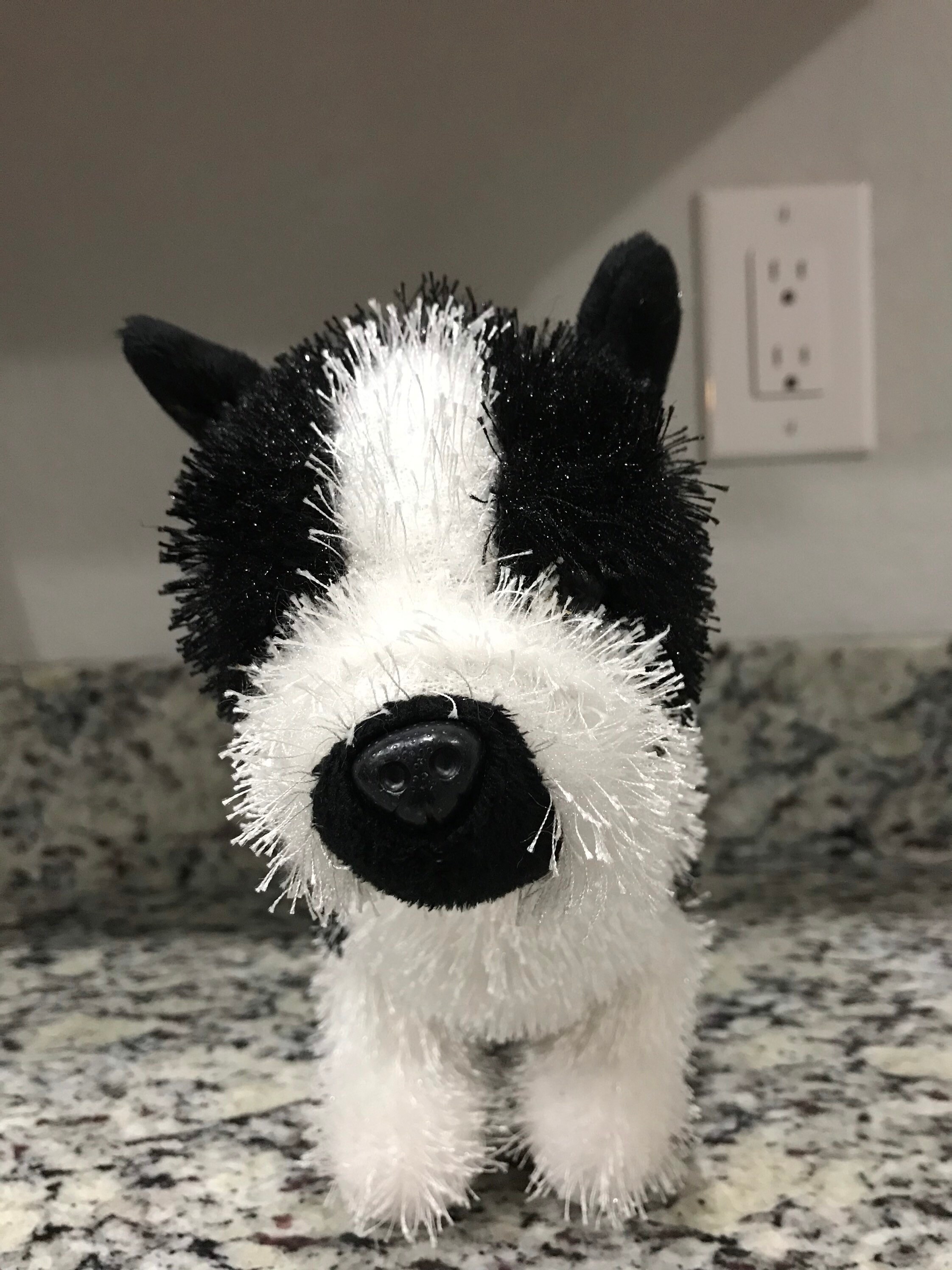 webkinz boston terrier