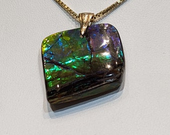 Ammolite Freeform Pendant that is 30x35mm PN E2123C