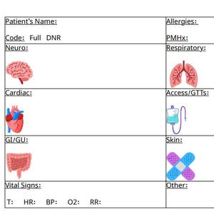 May include: A medical chart template with labeled sections for patient information, including "Patient's Name," "Allergies," and "Vital Signs." The chart includes illustrations of the brain, lungs, heart, intestines, an IV bag, and bandages.