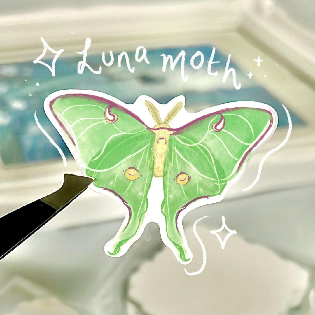 Luna Moth | Vinyl Sticker Watercolor Illustration Butterfly Entomology ...