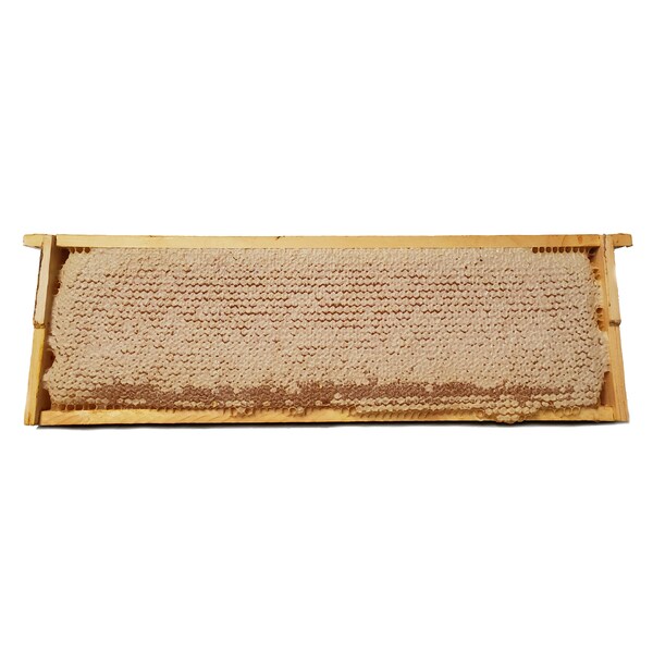 Pure Southern Honey Whole Wooden Honeycomb Frame