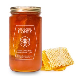 Pure Southern Honey&#39;s 100% Raw & Unfiltered Honey with Comb (1 lb) American Made