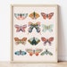 boho butterflies, printable art, digital print, girl's room decor, modern, retro, vintage decor, boho girl's nursery, butterfly wall art,