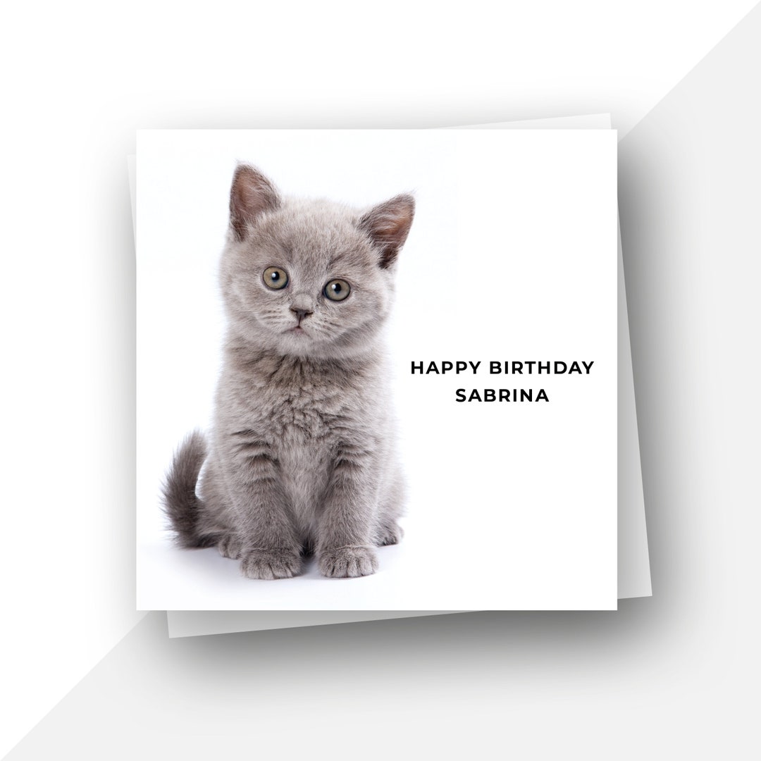 Personalised Cat Lovers Birthday Card Cute Kitten Card for Etsy
