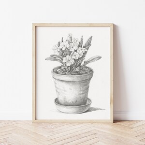 May include: A black and white pencil drawing of a potted plant with white flowers. The plant is in a terracotta pot with a saucer. The drawing is framed in a light wood frame.