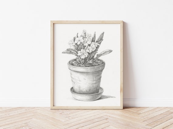 Premium Vector | Flower in a pot continuous line drawing vector sketch-sonthuy.vn