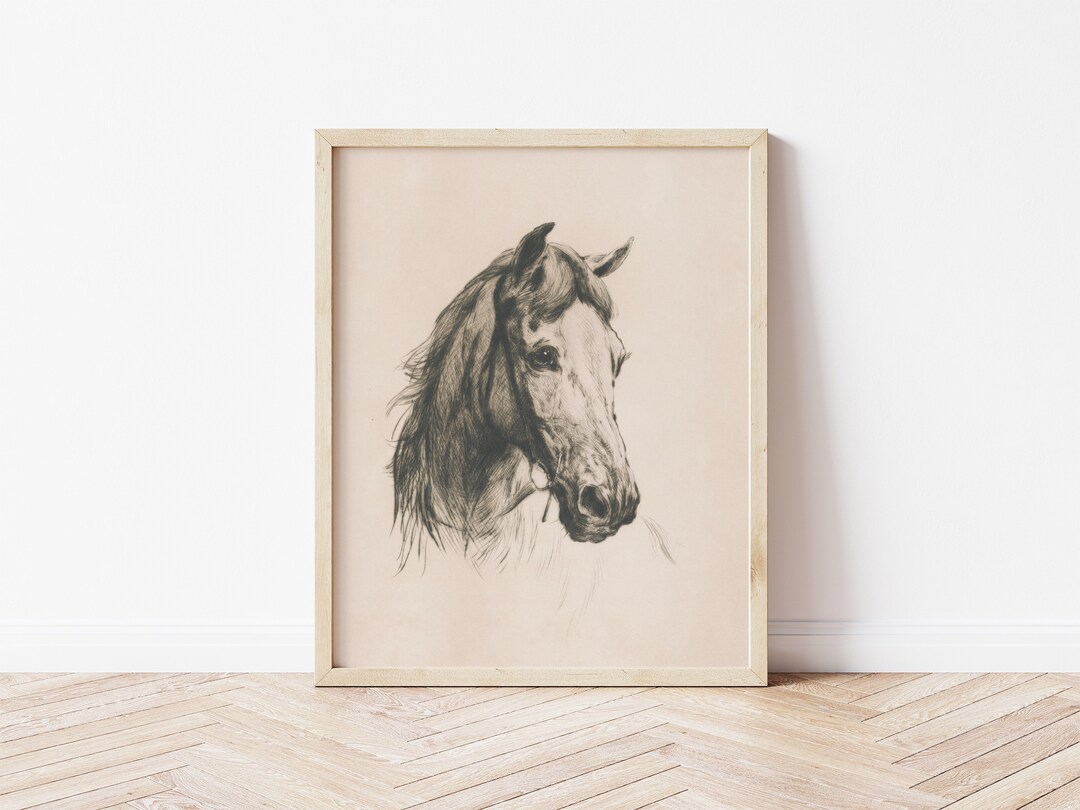 Printable Art | Vintage Horse Drawing Printable | Farmhouse Decor ...