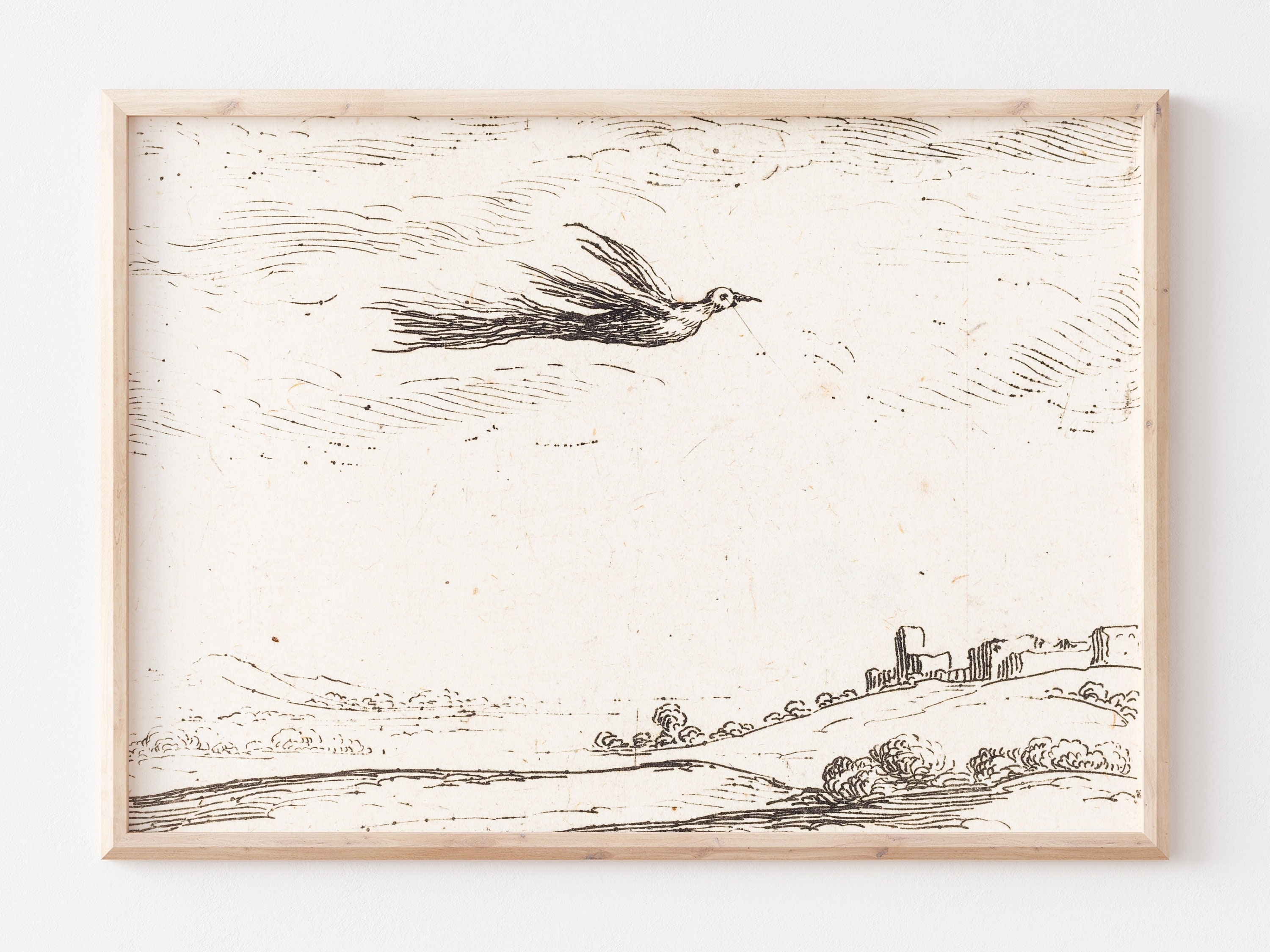 Printable Art Vintage Bird Etching Black & White Bird of Etsy