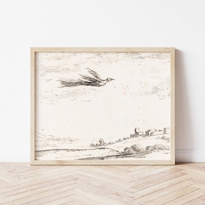 Op de afbeelding: Een zwart-witte lijntekening van een vogel die over een landschap vliegt met een klein stadje in de verte. De tekening is ingelijst in een licht houten lijst.
