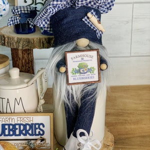 Blueberry Gnome, Tomte, summer Gnome