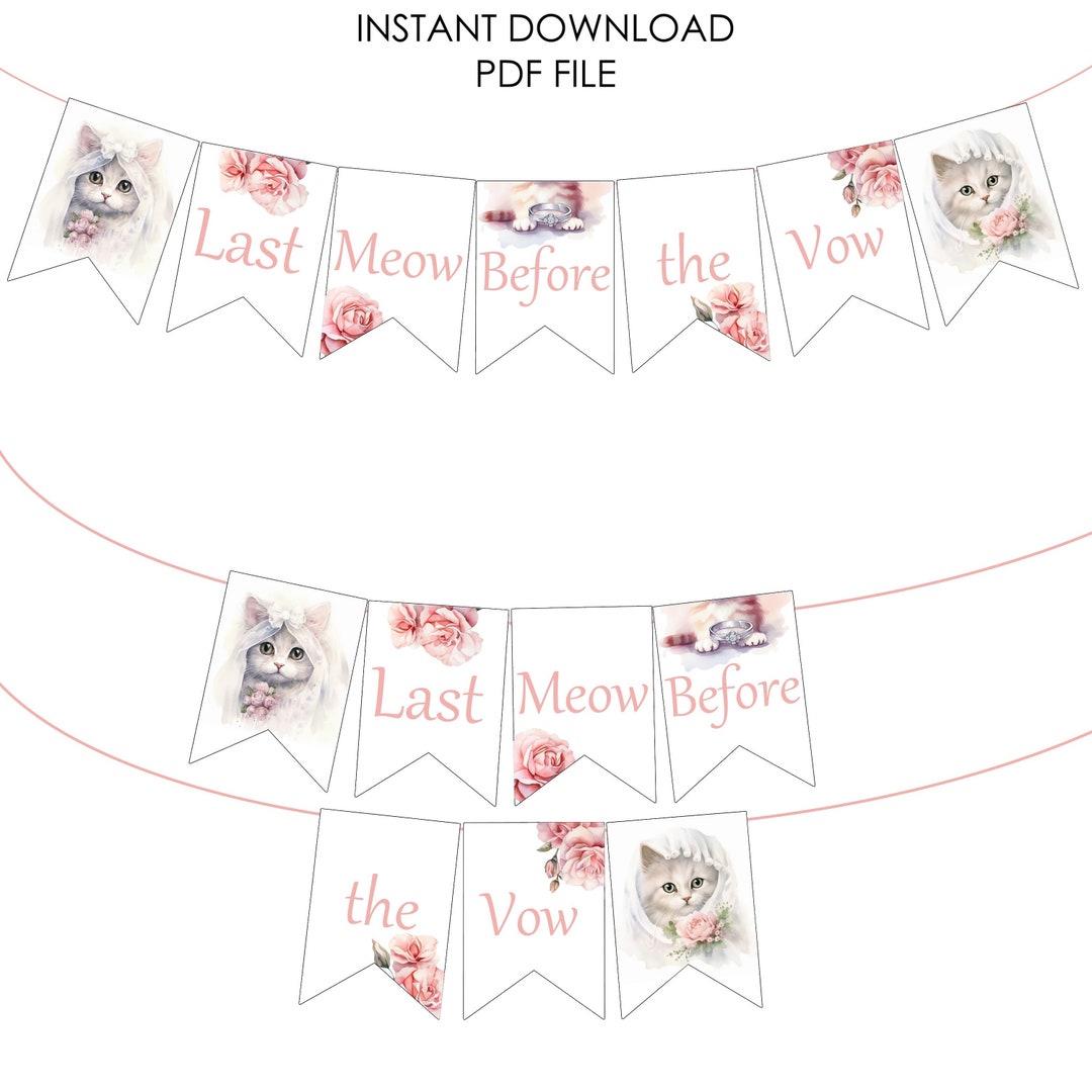 Cat Bachelorette Party Cat Bridal Shower Meowied - Etsy