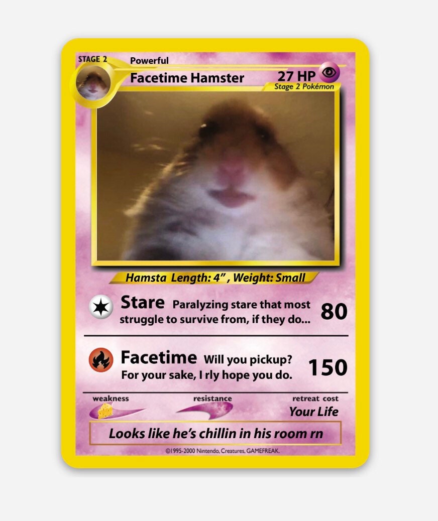 Do Dogs Understand Facetime