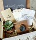 Sympathy Gift Box with Grief Affirmation Card Set for Lost Loved One 