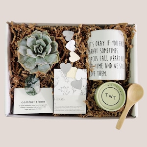 Sending Love Gift Box Loss of Loved One Gift Loss of Father Loss of Mother Taco Mug Live Succulent Gift Bereavement Care Package Pick-Me-Up