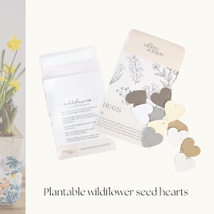 Hugs Packet Plantable Wildflower Seed Hearts Hug in a Box Send Virtual Hugs Stocking Stuffer Hugs Hearts Confetti Hearts