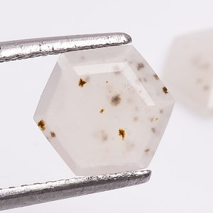 Montana Achat Edelstein: Honey Moss Hexagon Step Cut, 8X8X3 mm