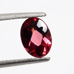 May include: A deep red oval gemstone held in tweezers. The gemstone is faceted and has a high shine.