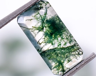 Natural Moss Agate Gemstone: Octagon Step Cut, Calibrated Size (8X4X3 mm)