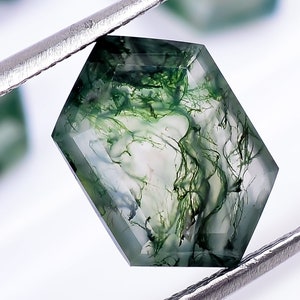 Piedra preciosa de ágata musgosa verde: corte hexagonal alargado (12 x 8 x 4,5 mm)
