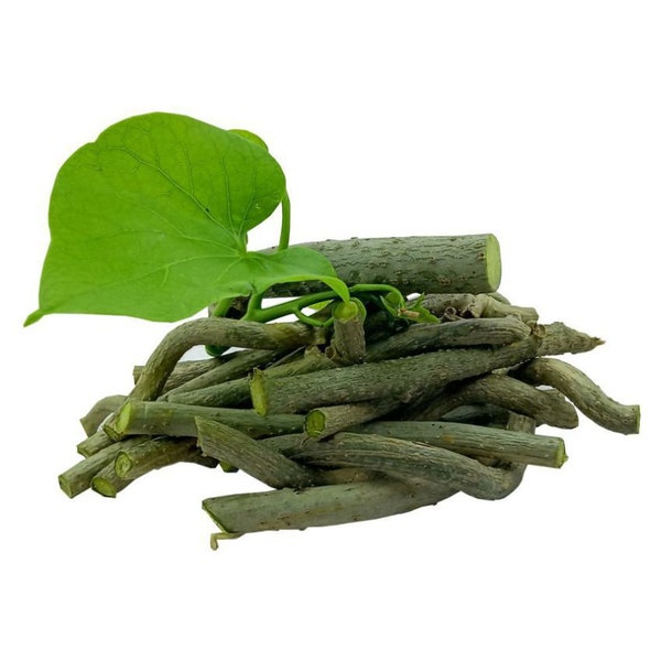 Organic Giloy, Neem Giloy, Fresh Gloy plant stems, Guduchi, Tinospora cordiofolia, Ayurvedic Giloy, Indian Giloy, Health benefits