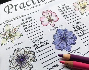 10 Coloring Practice Pages + Bonus Coloring Page! - FLOWERS v1