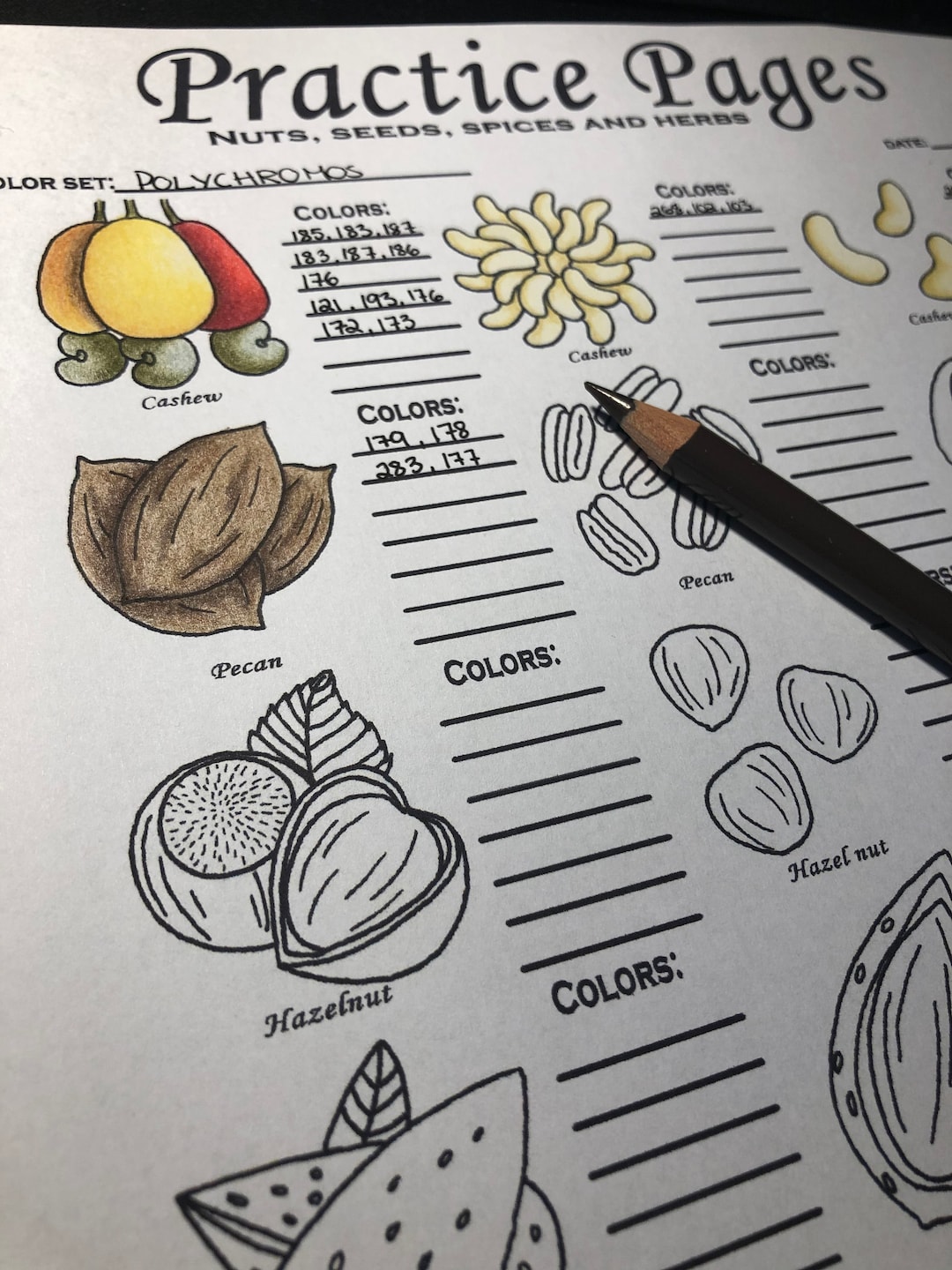 5 Coloring Practice Pages + Bonus Coloring Page - Etsy