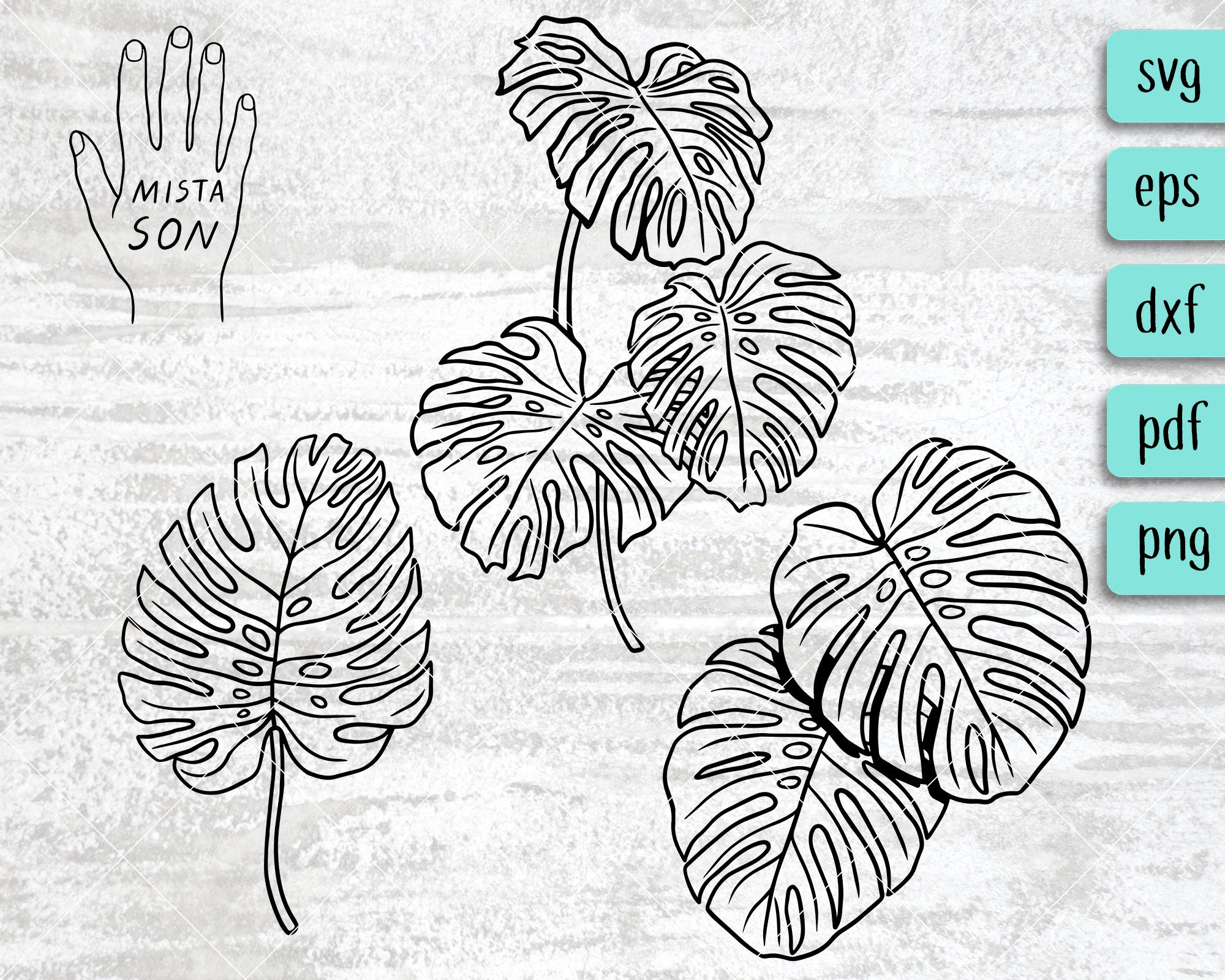 Download Monstera SVG Files Botanical Digital Drawings Plants SVG ...