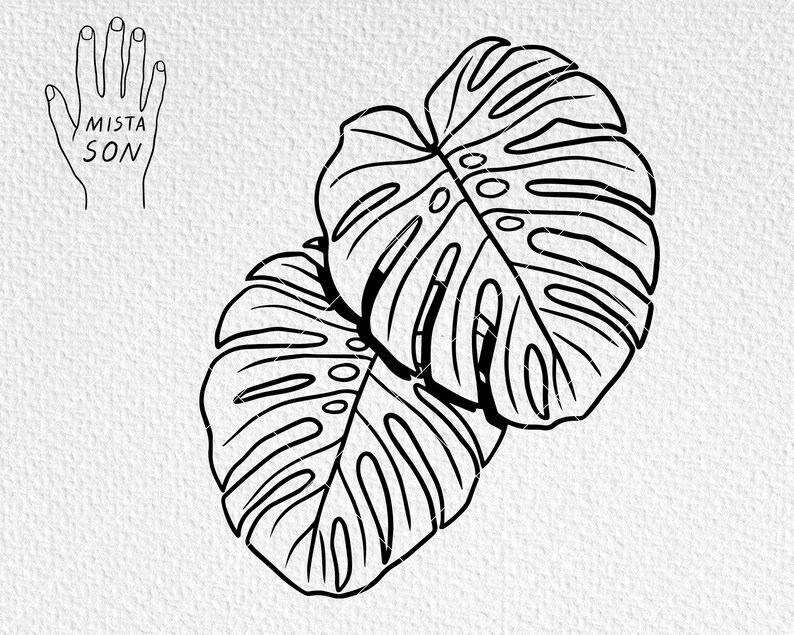Download Monstera SVG Files Botanical Digital Drawings Plants SVG ...