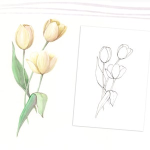 Tulips colouring page, Printable download, Perfect for beginners
