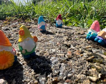 Mini Resin Gnome Plant Companions | Whimsical Houseplant Decor (12 Pack)