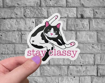 Cat Sticker | Stay Classy Sticker | Funny Cat Sticker |  Cat Stocking Stuffer | Vinyl Sticker | Laptop Decal | Water Bottle Sticker