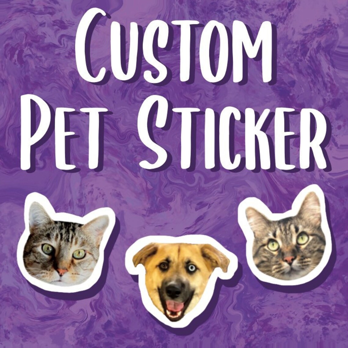Custom Pet Sticker Custom Pet Sticker Cat Sticker Etsy