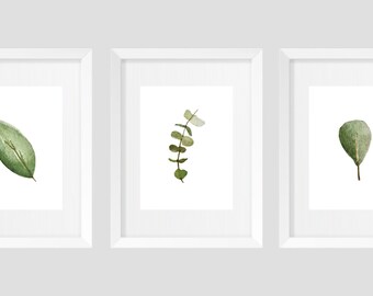 Set of Prints, Wall Art Prints, Set of 3 Prints, Botanical Prints, Farmhouse Decor, Leaves **DIGITAL DOWNLOAD