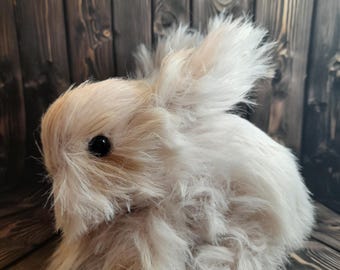 うさぎ