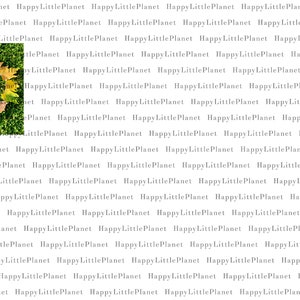 nature numbers 0 10 printable autumn themed early years maths etsy