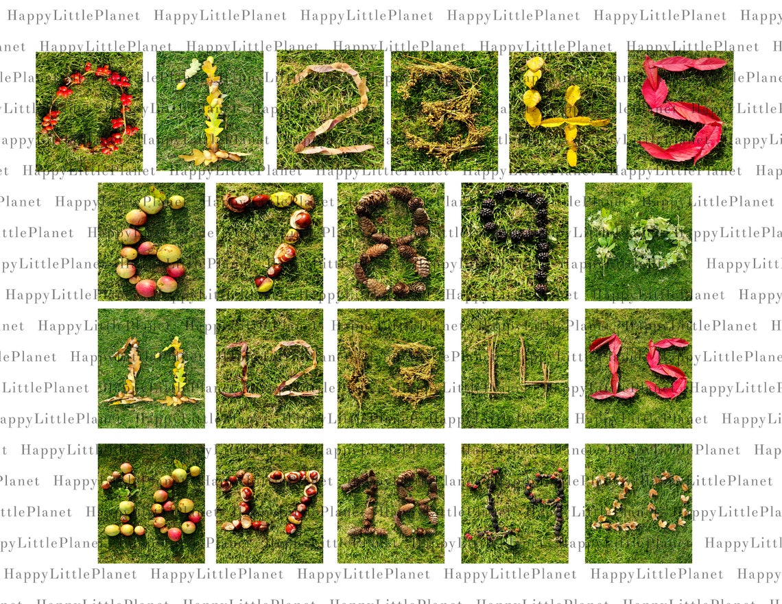 nature numbers early years maths printable 0 10 pack and 11 20 etsy