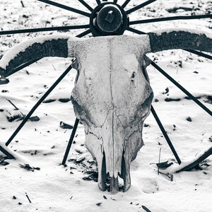 Frostbite
