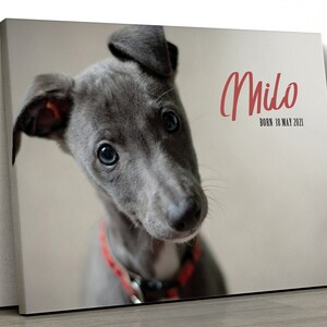 Pet Portrait Canvas, Wall Art, Pet Art Commission, Pet Memorial Gift, New Pet Portrait, Pet Owner Art, Pet Picture, Dog Photo Canvas