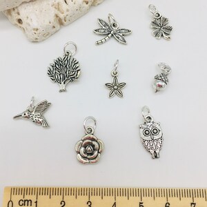 Peut inclure: Un ensemble de huit breloques en argent avec des motifs inspir&eacute;s de la nature, notamment une libellule, un tr&egrave;fle &agrave; quatre feuilles, un arbre, une fleur, un gland, un colibri, une rose et un hibou.