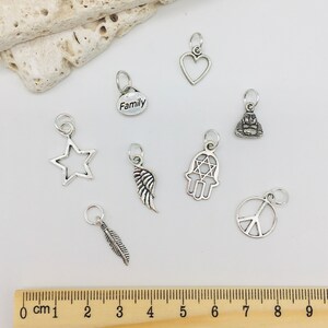 Peut inclure: Assortiment de pendentifs de charme en argent, comprenant un c&oelig;ur, une &eacute;toile, une plume, une aile, une main avec un &oelig;il, un signe de paix, un Bouddha et un charme avec le mot "Famille" dessus.
