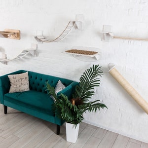 Può includere: Un moderno set di mobili per gatti montato su un muro di mattoni bianchi. Il set comprende un divano in velluto verde acqua, una cuccia per gatti e varie strutture per arrampicarsi come ponti, mensole e un tiragraffi. L'arredamento presenta anche una pianta in vaso e un cuscino con la scritta "Home is where the heart is."