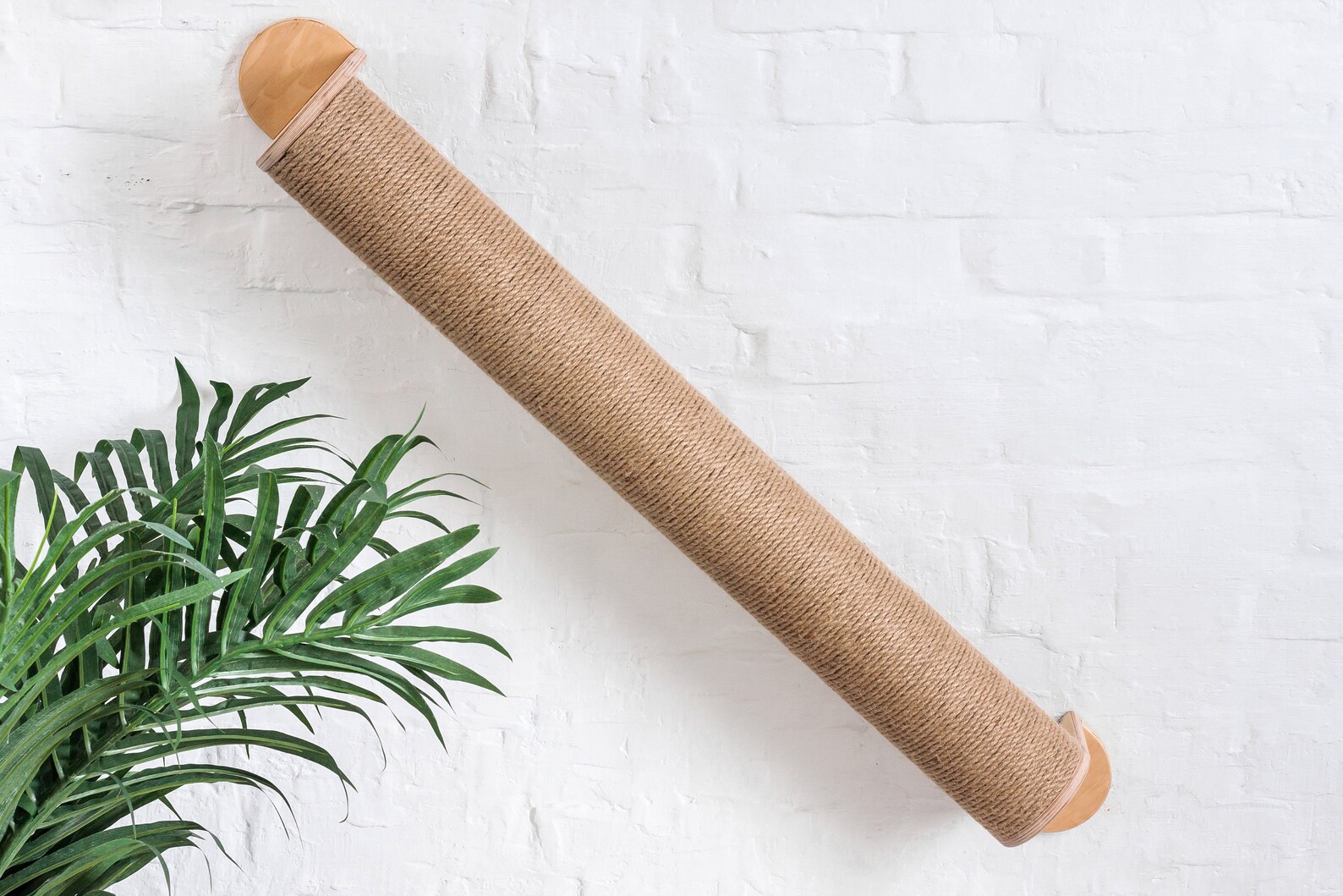 Complex for Cat the Furniture for Cat Cat Bed, Floating Shelves, Modern Cat Furniture Etsy