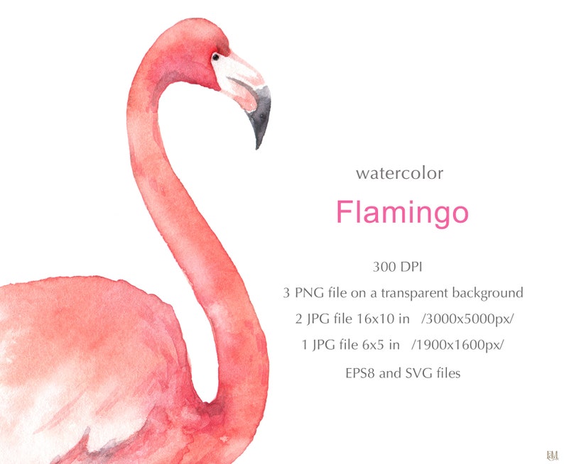 Download Watercolor Flamingo clipart. Flamingo svg. Svg summer ...