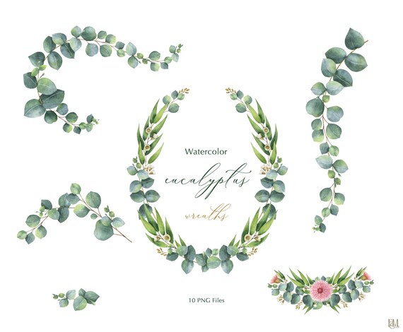 Download Watercolor Wreaths With Green Eucalyptus Leaves Svg Etsy