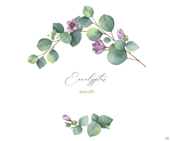 Download Watercolor Wreath Of Green Eucalyptus Branches And Saffron Etsy