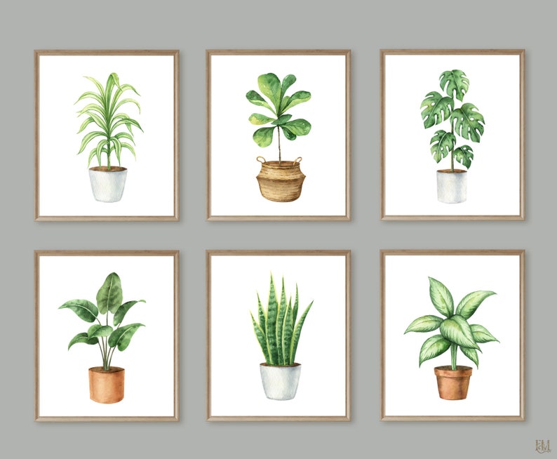 Watercolor houseplant wall art print. Plant lover gift. Etsy