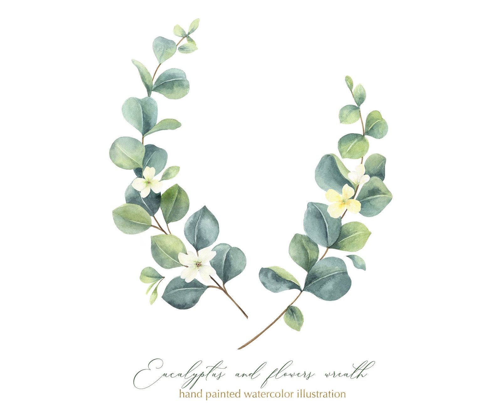 Vegetación de acuarela eucalipto. Onda de corona floral hojas Etsy