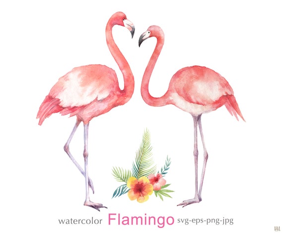 Download Watercolor Flamingo Clipart Flamingo Svg Svg Summer Beach Etsy